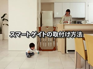 スマートゲイト