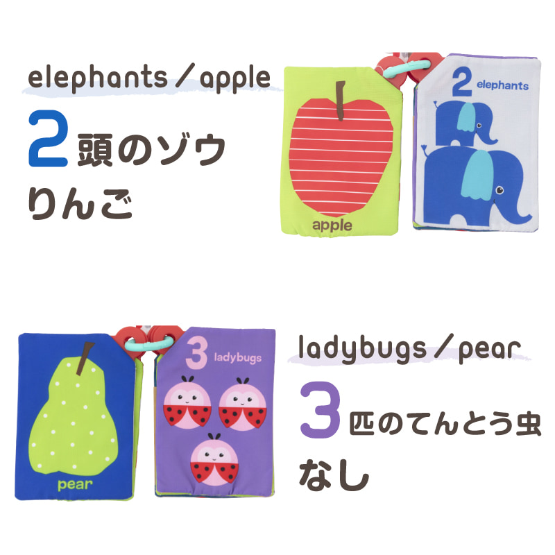 softflashcard03