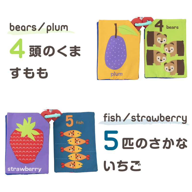 softflashcard04