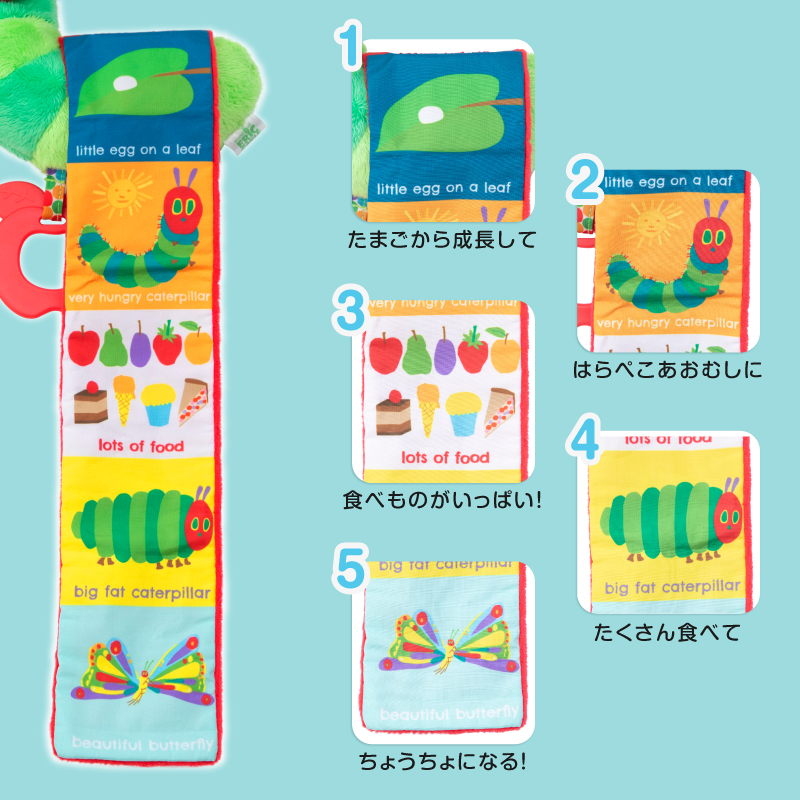 あおむしが生まれてから成長してちょうちょになるまでの過程が描かれています